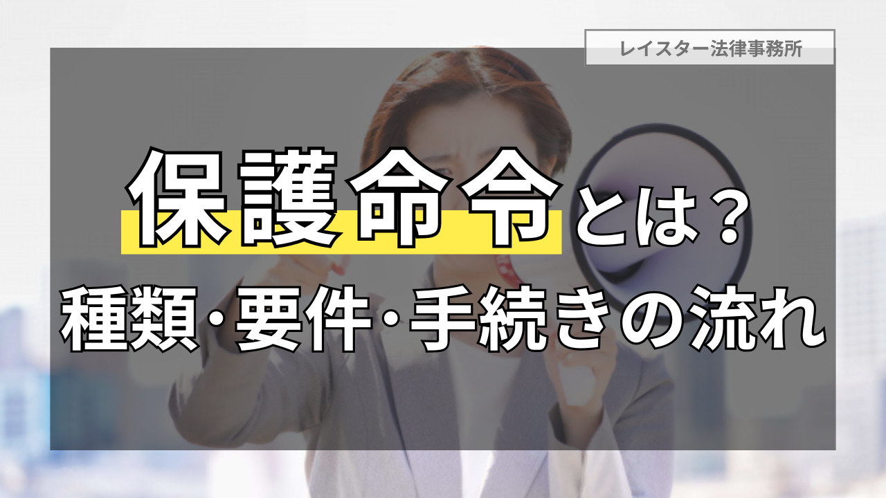 保護命令とは？種類、要件、手続きの流れ及び離婚問題への影響を解説