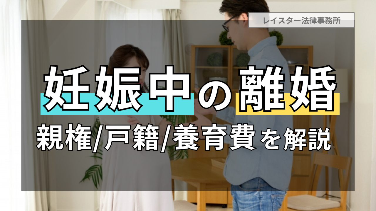 妊娠中に離婚したい場合の親権・戸籍・養育費を解説｜2024民法改正対応